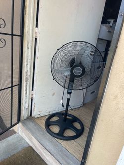 Fan