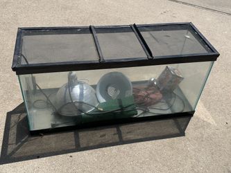 Reptile Terrarium