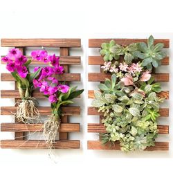 ShopLaLa Wall Planter - 2 Pack Wooden Orchid Planter Frame Display Outdoor Plants, Wall Mount Air Plants Succulent Holder Hanger, Vertical Garden Plan