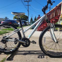 Trek Mountain Bike