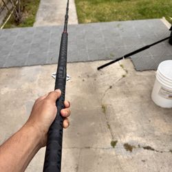 Daiwa Live Bait/Casting Fishing Rod