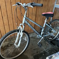 Diamondback Bike Lustre 1