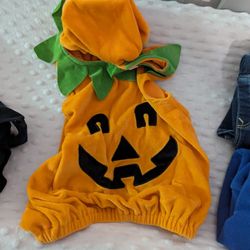 Toddler '6-12 Month' Jack O Lantern/ Pumpkin Probably Fits Larger