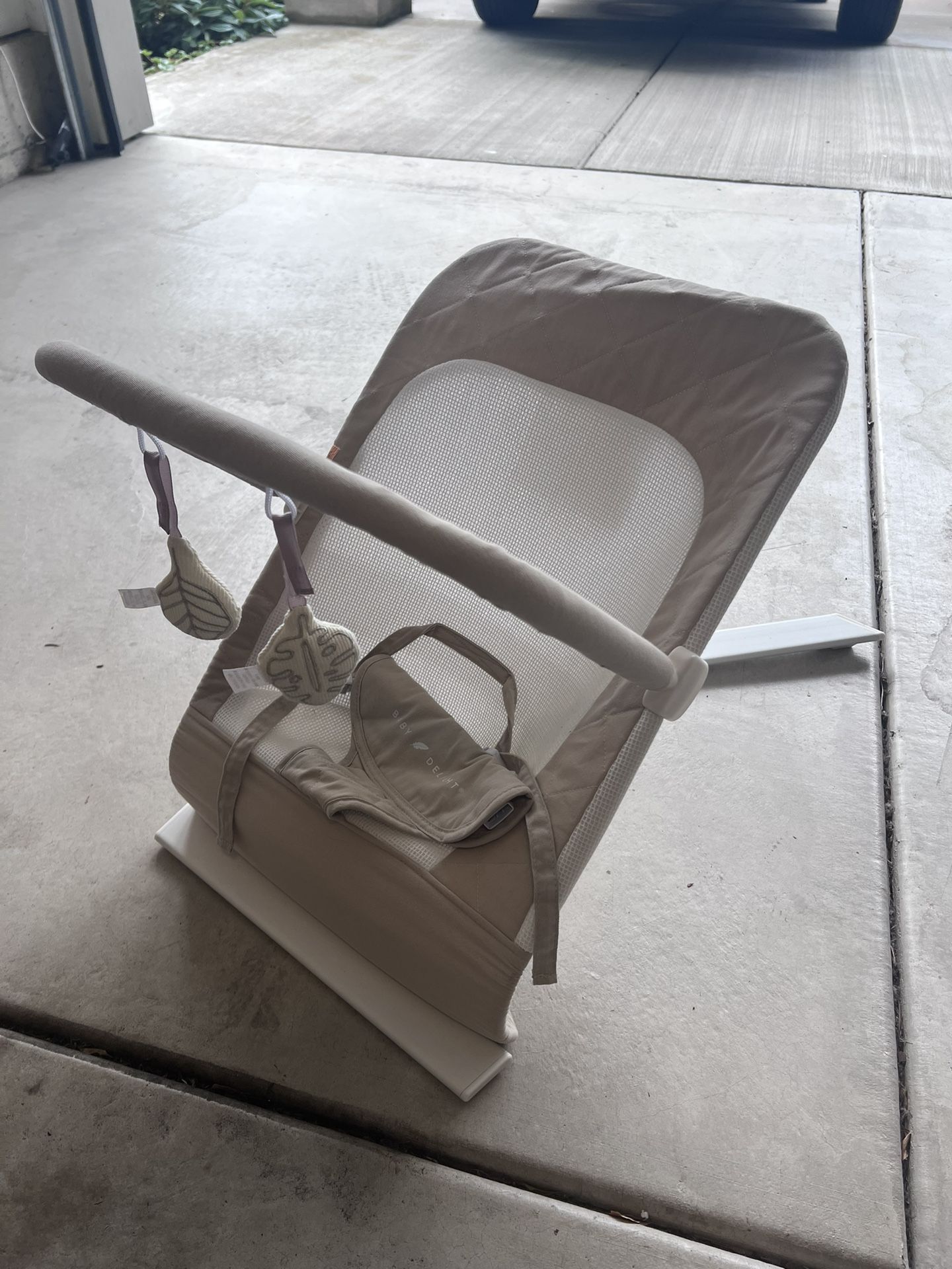 Baby Delight Portable Bouncer