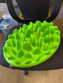 Large dog feeder