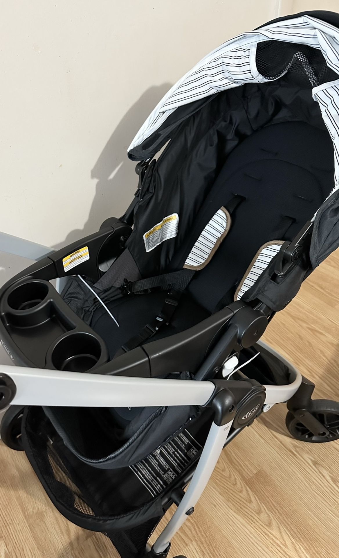 Graco Travel System