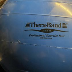 TheraBand Exercise Ball