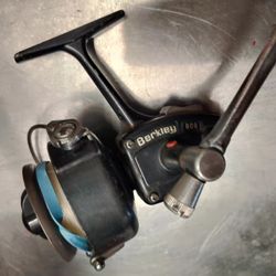 Berkeley Fishing Reel