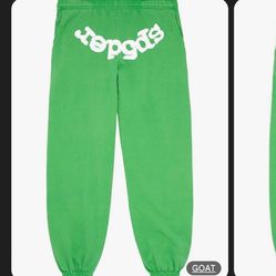 spider sweat pants