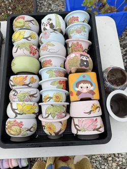 flower pot