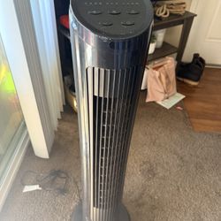 Fan