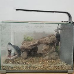 Fish Tank Aquarium