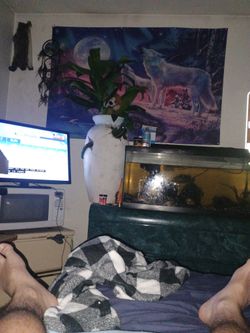 Terracotta Lizard Sculpture