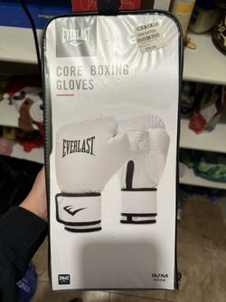 Everlast Boxing gloves