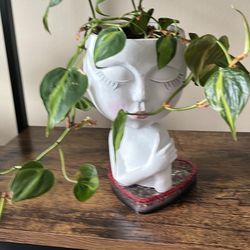 Face Pot With Plant