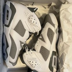 Air Jordan 6 Retro ‘Cool Grey’ 
