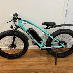 Electric Mountain Bike