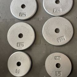 Weight Plates.    30 Dollars 