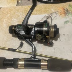 Rod/reel