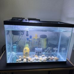 20 Gallon Fish Tank