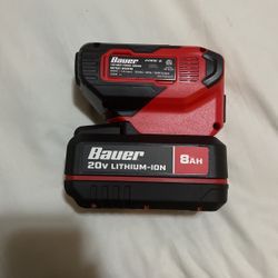 Baur Battery