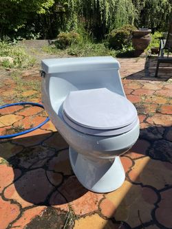 Vintage Baby Blue Koehler Toilet