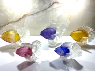 Andrew Shea Glass Fish Collection