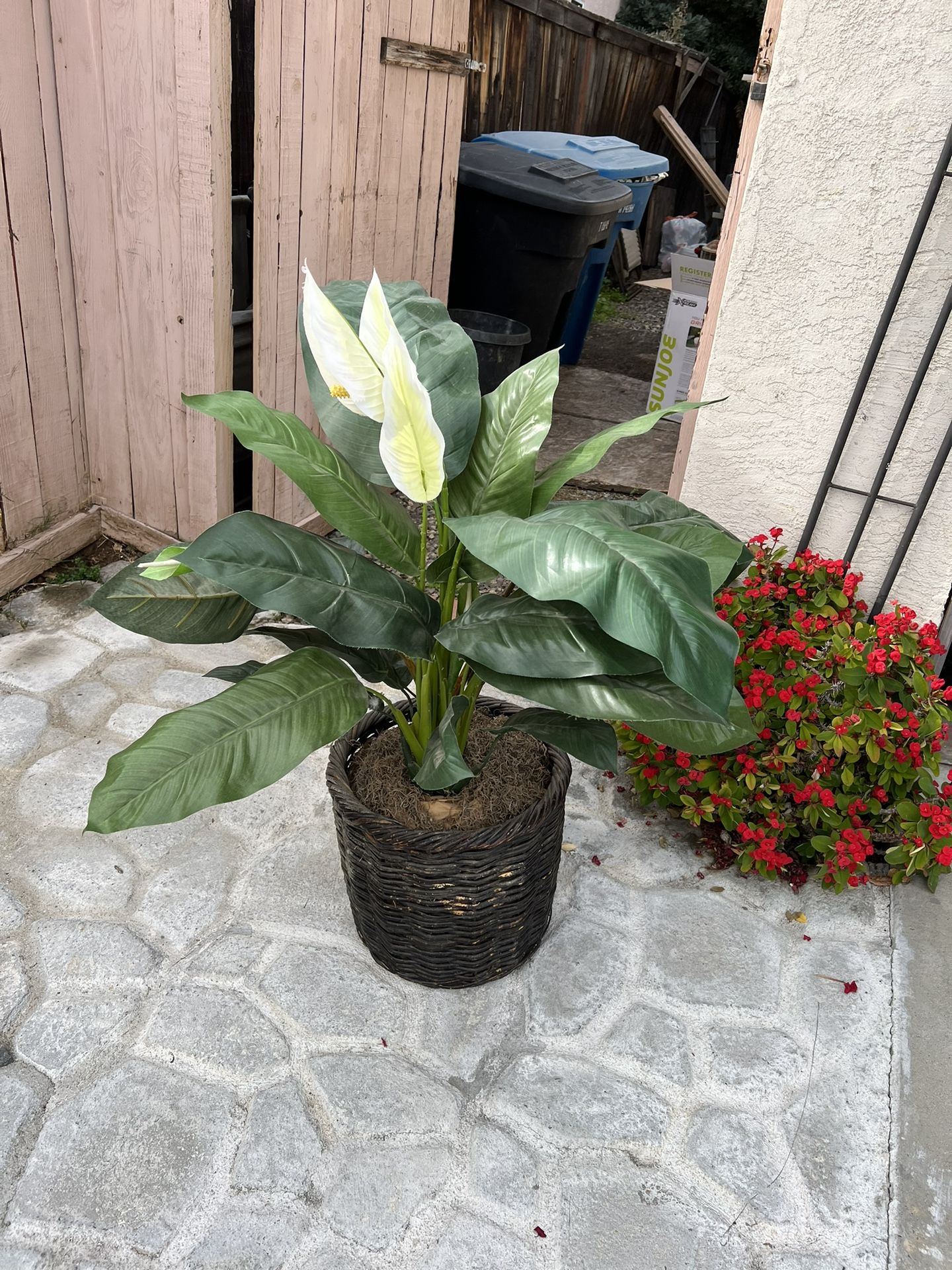 Fake Plants