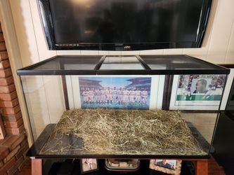 Reptile Terrarium
