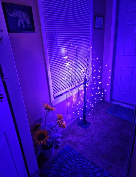 Indoor Outdoor Tree
