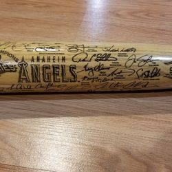 Anaheim Angels 