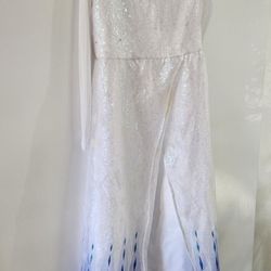 Elsa Dress Coustum With The Wig
