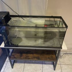 20 Gallon Tank