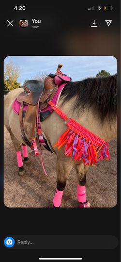 Pink breastcollar