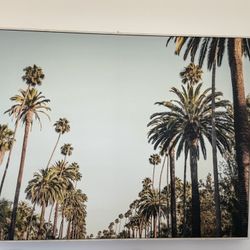 Palm Tree Wall Art 