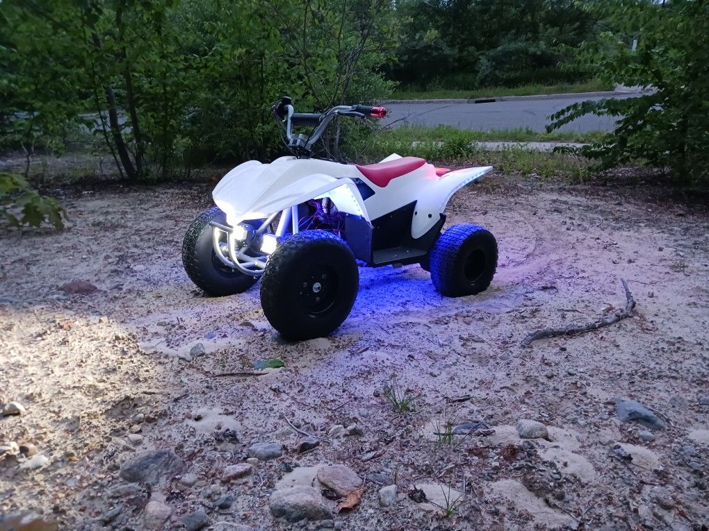Custom 48v Razor Quad 500 (Electric)