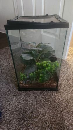 Tropical Reptile Terrarium