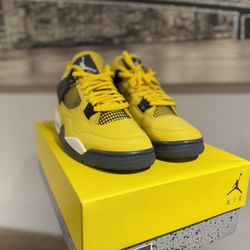 NEW* Jordan 4 Lightnings Size 10
