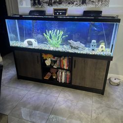 Fish Tank For Sale… Everything Included & Extra Filters, Pump & Food.