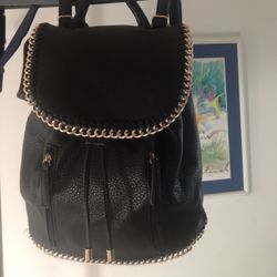 New Backpack Outlined By Gold Chain