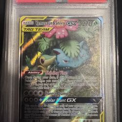 Venusaur & Snivy Sm229