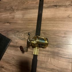 Tica Salt Water Heavy Rod Reel Combo Boat Fishing Striper Deep Sea Bass Bluefish