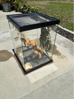 12”x 12” x 17” H. used reptile terrarium with reptile fur bark