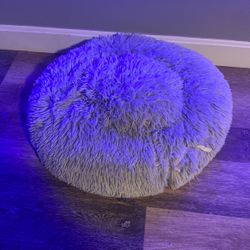 Cat Bed / Small Dog Bed 