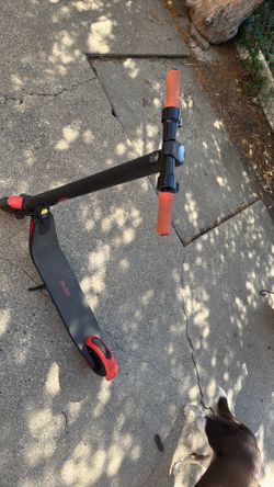 Nine bot scooter