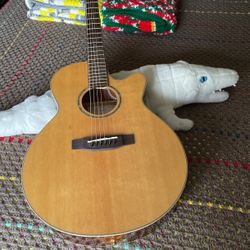 Takamine G-series Guitar