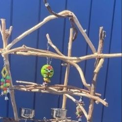 Parrot Perch Tree / Lots Of Fun And Birdee Socialization!!