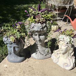 Beautiful Head Succulent Planters 