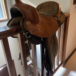 Bighorn Saddle 