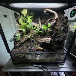 Terrarium